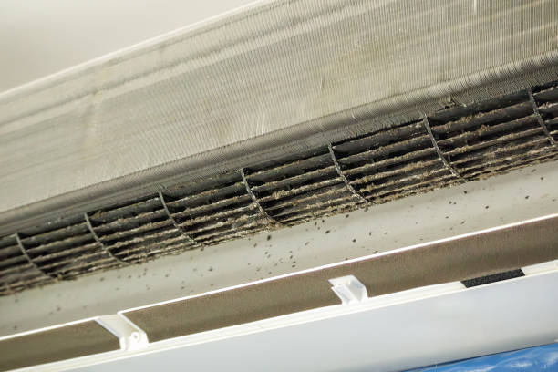 Best Local Air Duct Cleaning Services  in Liberty, NC